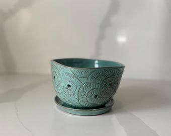 May include: A teal ceramic planter with a matching saucer. The planter has a textured surface with a repeating circular pattern and small drainage holes. The rim and saucer edge have a darker teal trim.