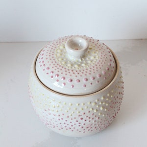 Handmade Ceramic Lidded Jar: White Kitchen Organizer