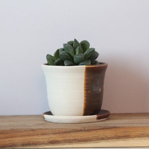 succulent planter ceramic with plate image 6