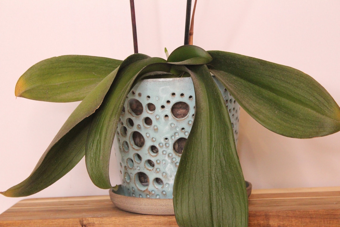 Großer Orchideentopf mit Löchern Keramik Orchidee Übertopf Etsy