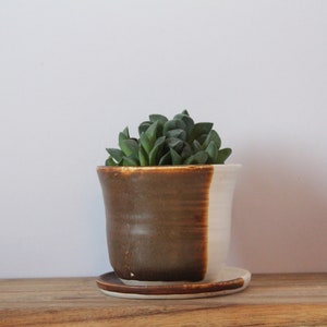 succulent planter ceramic with plate image 1