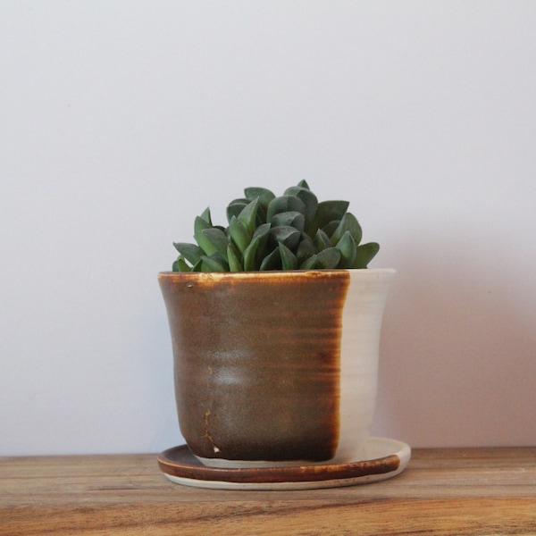 succulent planter ceramic with plate