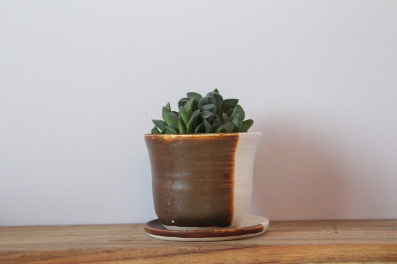 succulent planter ceramic with plate image 1