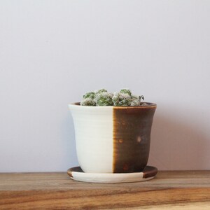 succulent planter ceramic with plate image 2