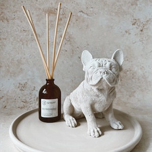 Franse buldog decor Hondenliefhebber cadeau Mopshond decor Kantoor aan huis