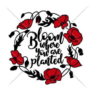 SVG, PNG, DXF, Jpeg, fleur là où vous êtes planté, couronne de pavot, floral, fichier coupé Svg et sublimation png, conception numérique à usage commercial