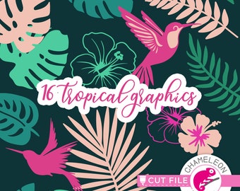 SVG, PNG, DXF, Jpeg, 16 tropical graphics, summer, Birds, Leaves, Hibiscus, Svg cut file and Sublimation png, Commercial Use Digital Design