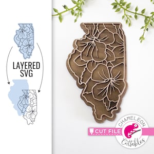 Illinois bloem SVG, bloem SVG, Glowforge-bestand, Cricut-ontwerpen, Thunder SVG, staat ontwerp, Thunder-bestand, digitaal bestand, digitale download