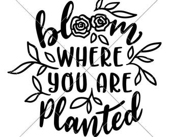 SVG, PNG, DXF, Jpeg, Bloom where you are planted, Gardening, Plant Life, Svg cut file and Sublimation png, Commercial Use Digital Design