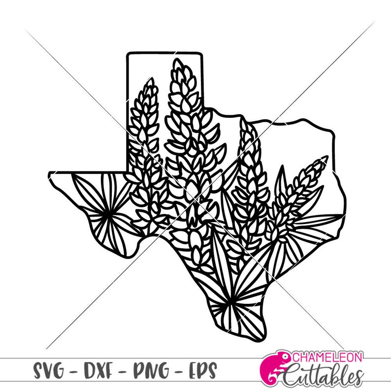 Download Texas with Bluebonnets Outline Spring SVG dxf Files for | Etsy