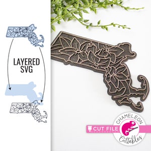 Massachusetts SVG, Flower SVG, Glowforge file, Cricut designs, Thunder SVG, State design, Thunder file, Digital File, Digital Download