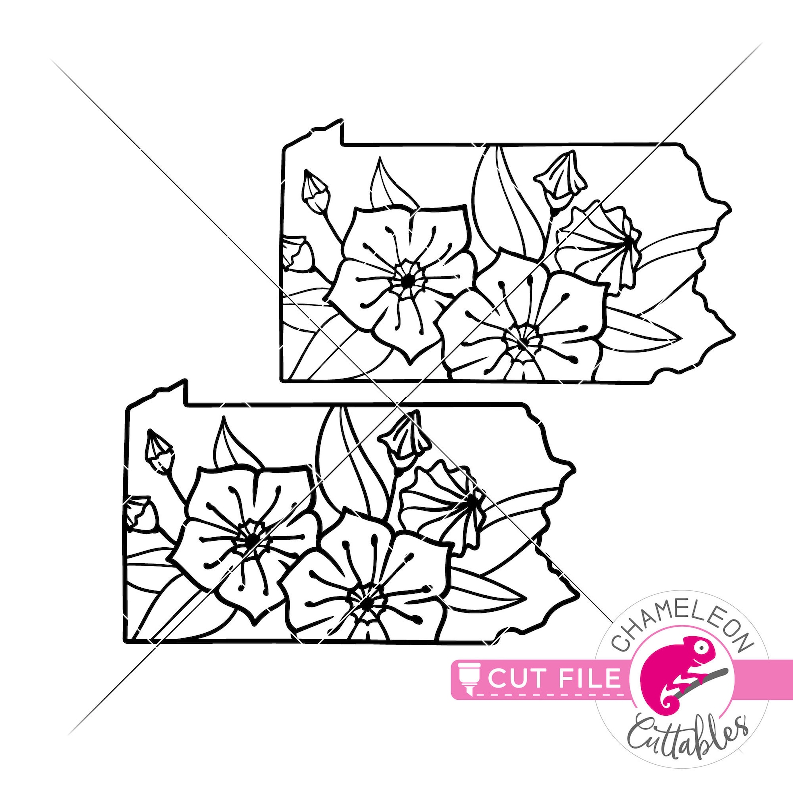 Pennsylvania state flower mountain laurel outline SVG File Etsy
