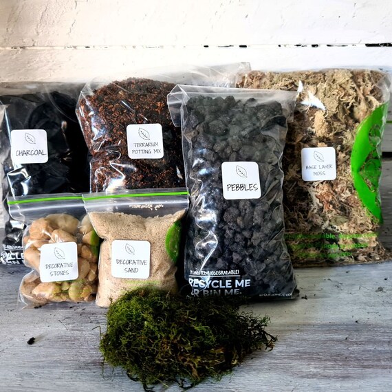 Closed Terrarium DIY Kit Materials and Tools Only Etsy Australia