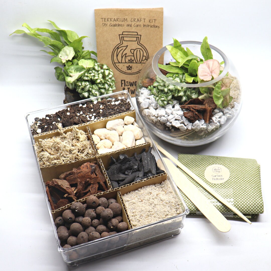 18cm Tropical Orb DIY Terrarium Kit, Indoor Plants, Terrarium Craft Kit