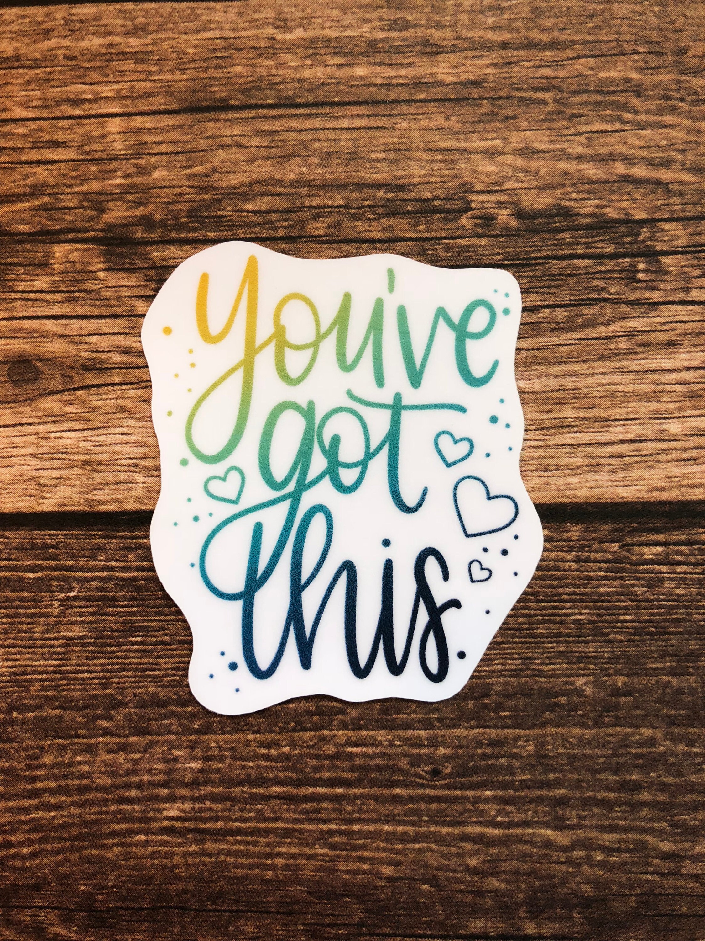 You've Got This Water Bottle Sticker /  Laptop Sticker / Vinyl St…