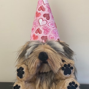 Pet Gnomes (personalized)