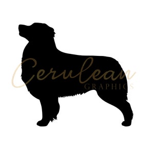 Dog Breed Decal - Australian Shepherd