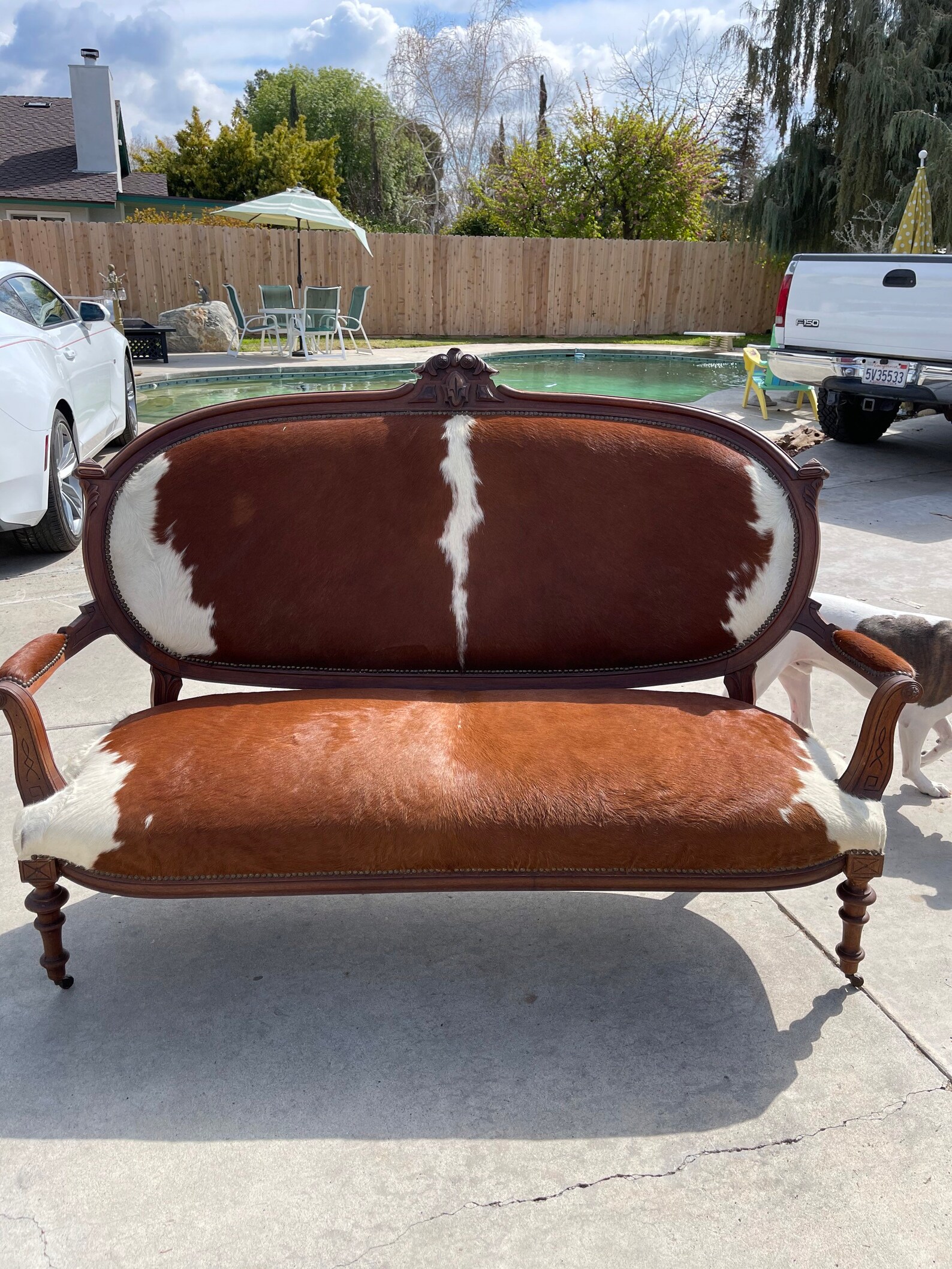 Large Cow Hide Couch on Metal Casters Etsy
