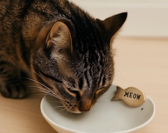 Handmade Ceramic Pet Bowl: Pottery Dog/Cat Food Dish