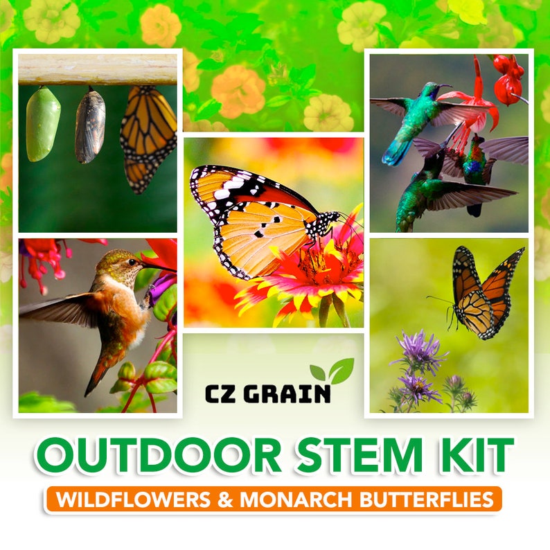 Outdoor STEM Kit. Grow a Pollinator Garden That Hummingbirds Etsy
