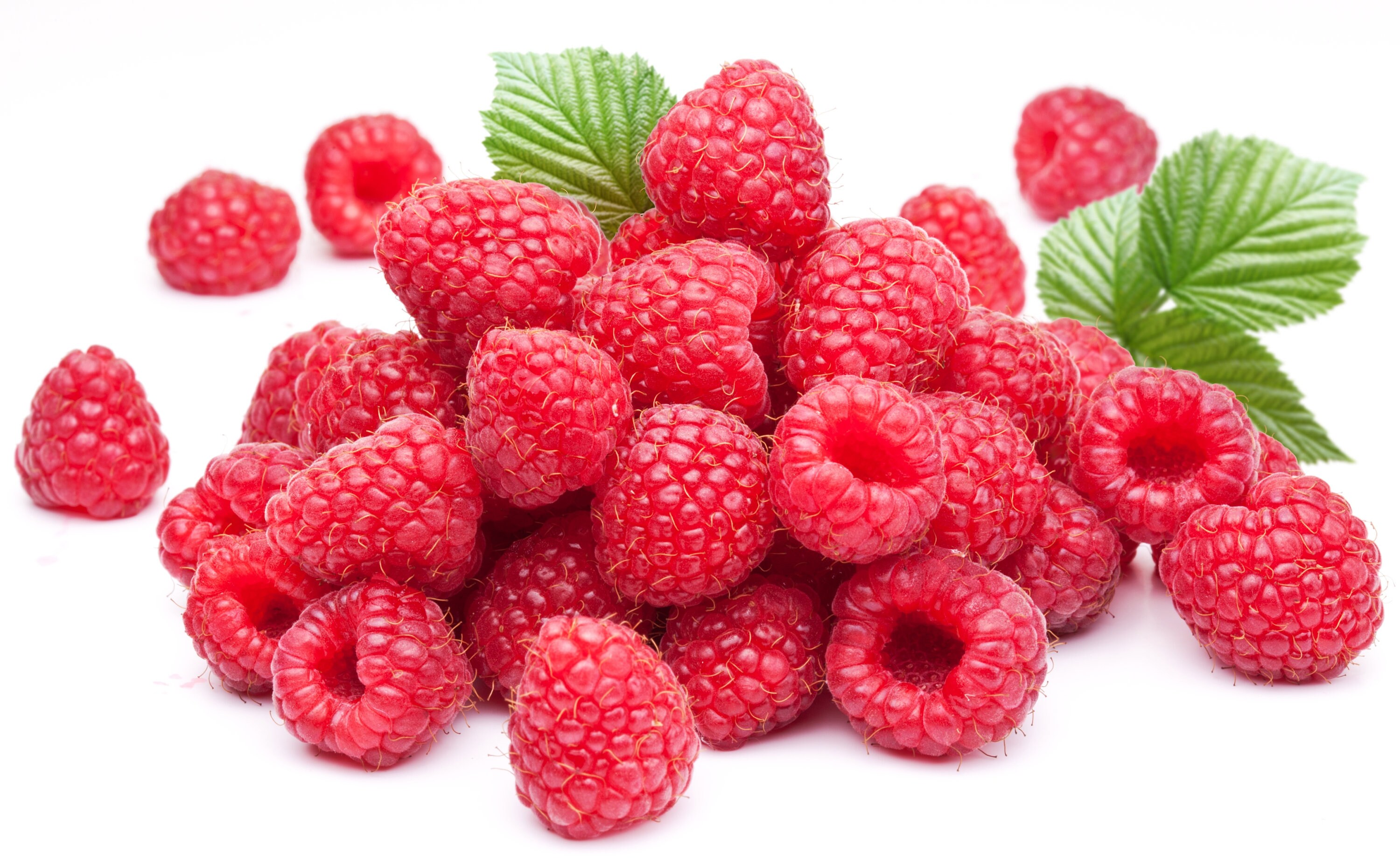 Delicious Red Raspberry Seeds 50 Seeds Shipped from Iowa. Etsy