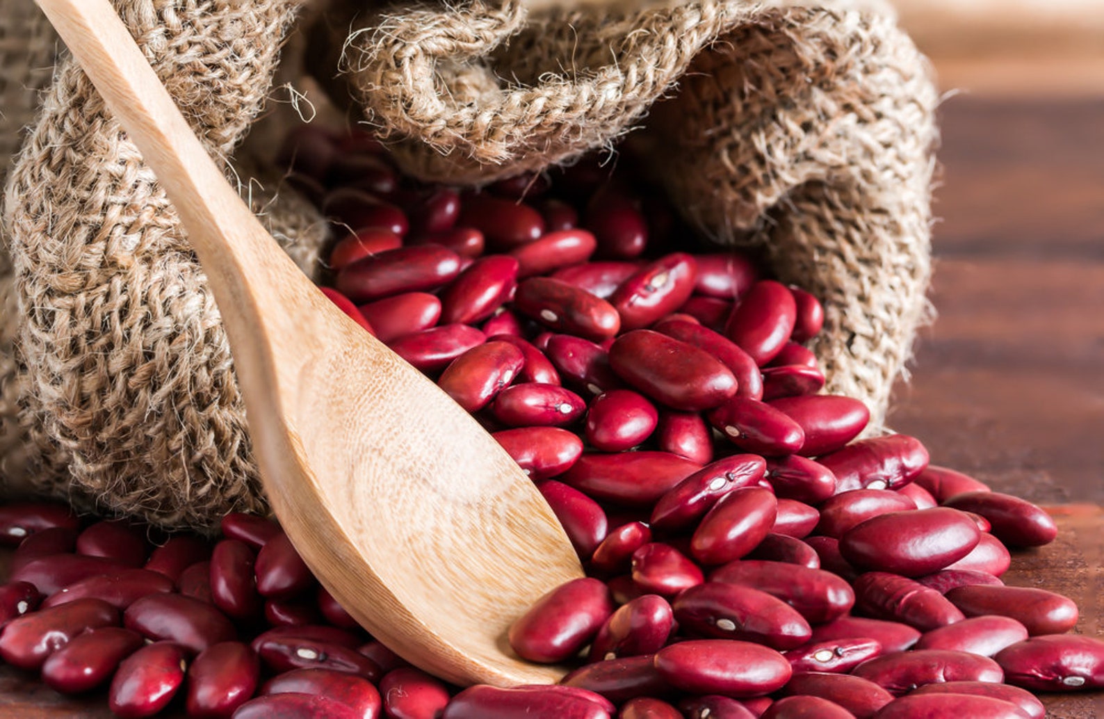 Red Kidney Bean Seeds for Planting Easy to Grow Very Etsy