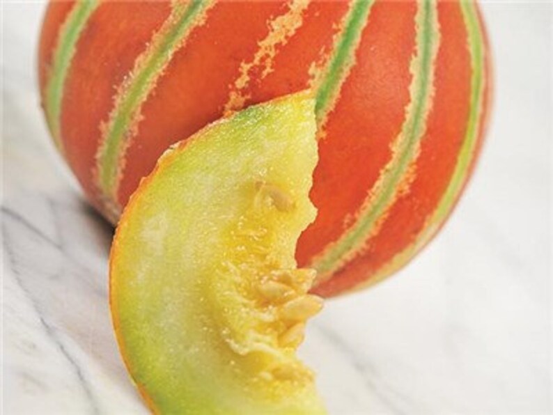 10 Kajari Melon Seeds Colorful Edible Melon Rare and Etsy