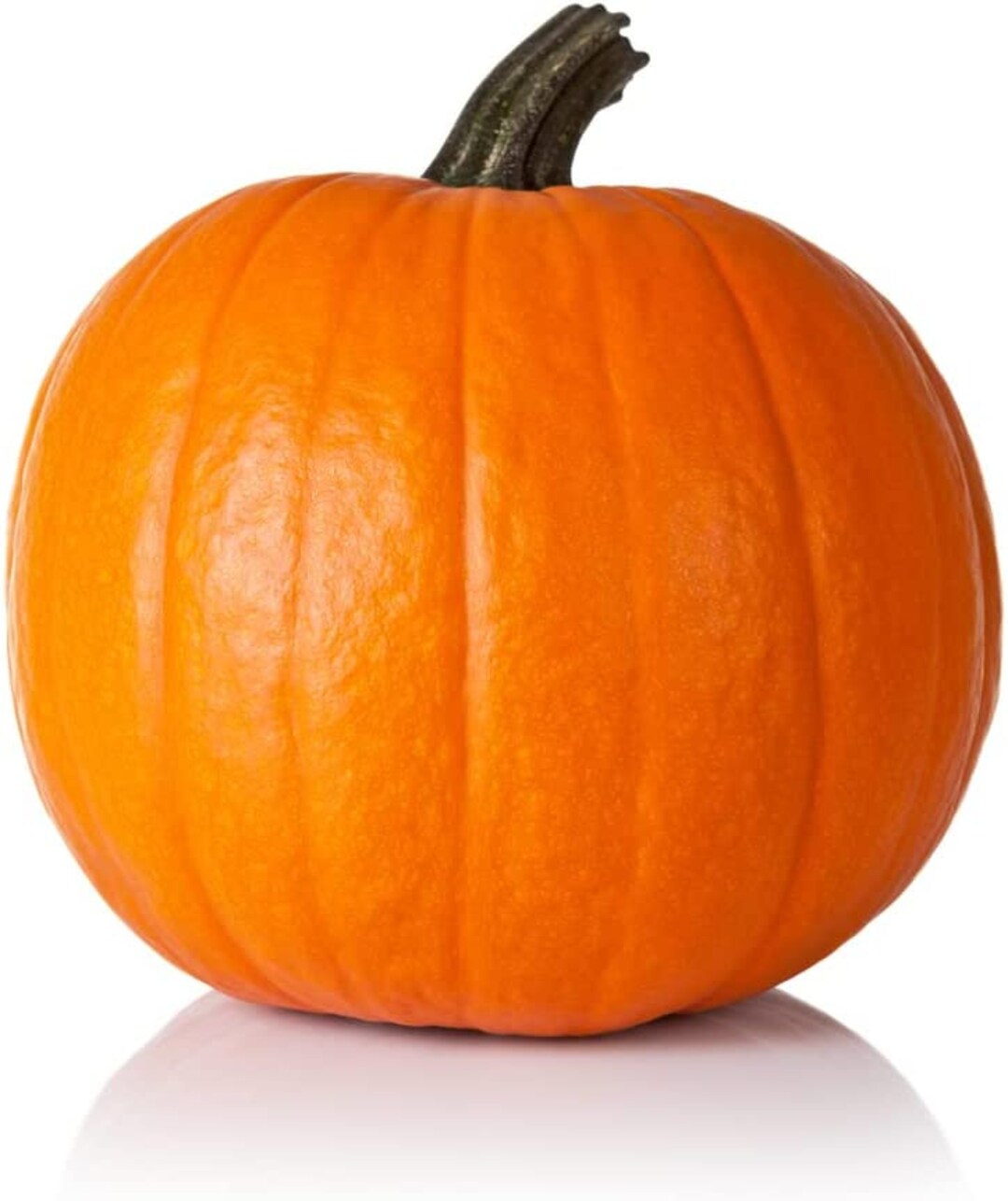 Spartan Pumpkin Seeds for Planting 10 Seeds All American Etsy