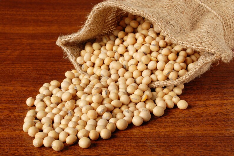 CZ Grain Soybeans  Perfect for Making Soy Milk Cooking or image 1