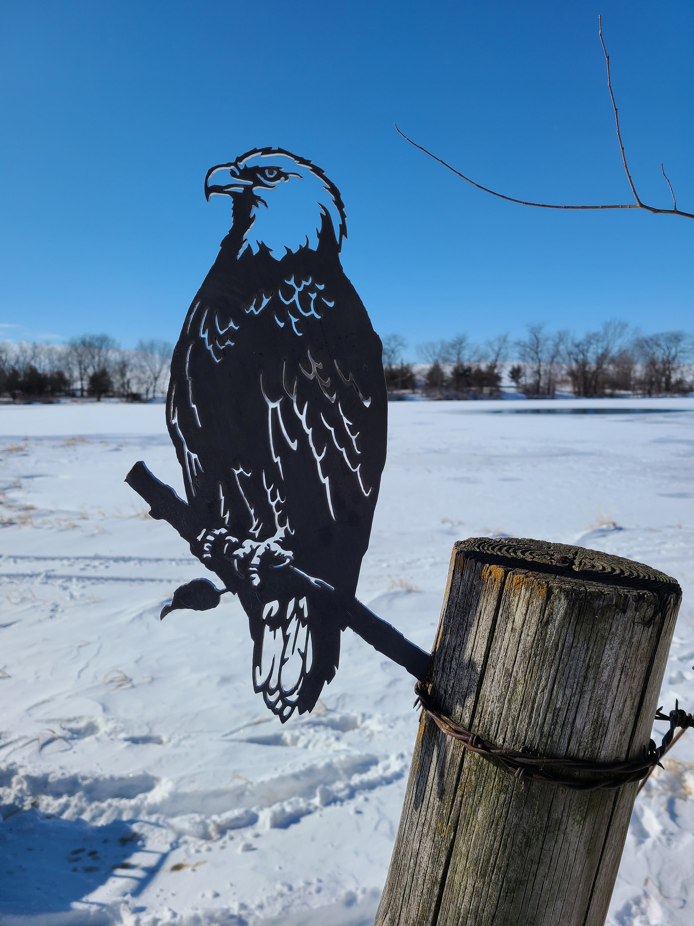 Bald Eagle Metal Art Made in USA Garden Sculpture Etsy Canada