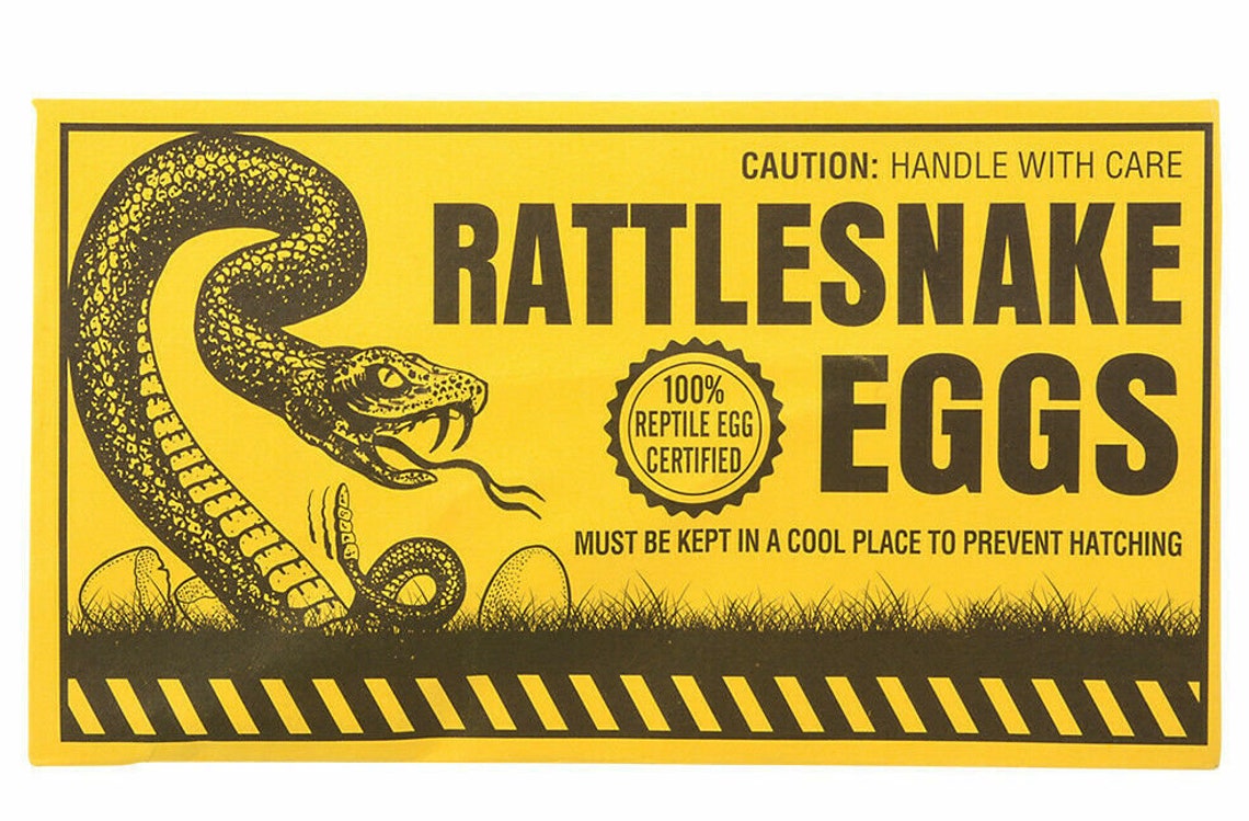 Hilarious Rattlesnake Eggs Prank Best Prank or Gag Gift Etsy