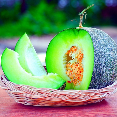 Serene Store In Oklahoma Where I Can Buy Rockyford Cantaloupe Moment Nature Serene Store In Oklahoma Where I Can Buy Rockyford Cantaloupe Moment Nature