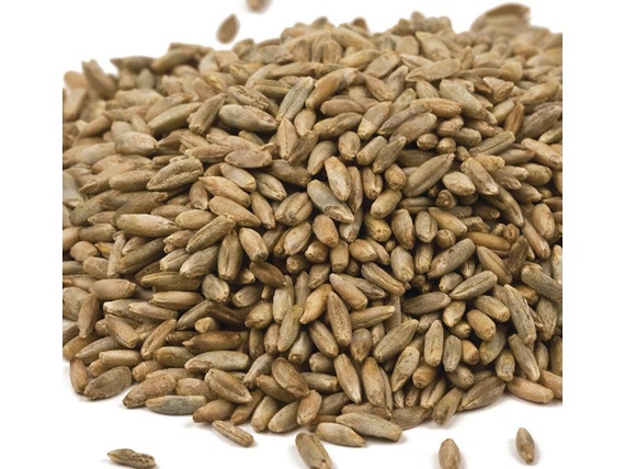 10 lbs Triticale Food Plot Seed Garden Cover Crop Throw & Grow Wheat/Rye Hybrid 