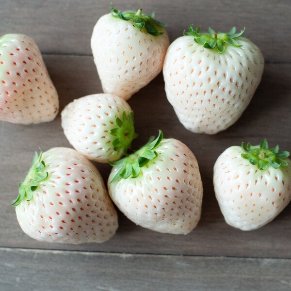 Japanese Strawberry Seeds Etsy
