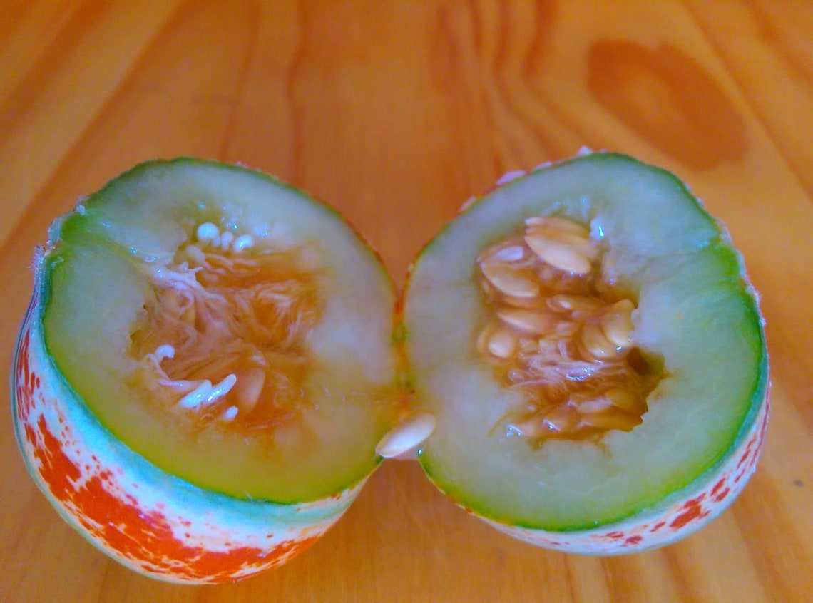 10 Kajari Melon Seeds Colorful Edible Melon Rare and Etsy