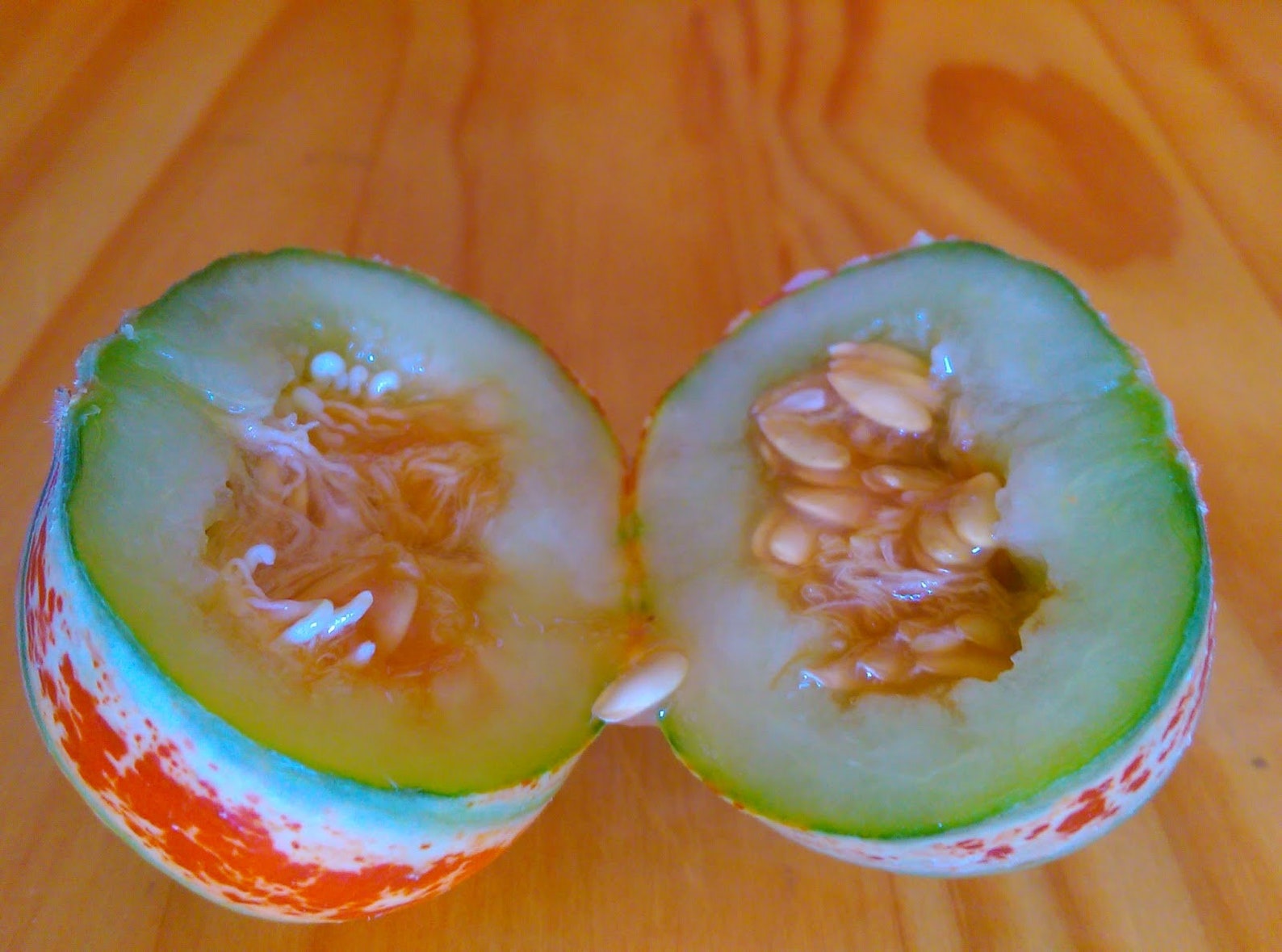 10 Kajari Melon Seeds Colorful Edible Melon Rare and Etsy