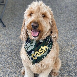 Puede incluir: Un perro marr&oacute;n claro con un pa&ntilde;uelo de camuflaje con el nombre "Cash" escrito en letras doradas.
