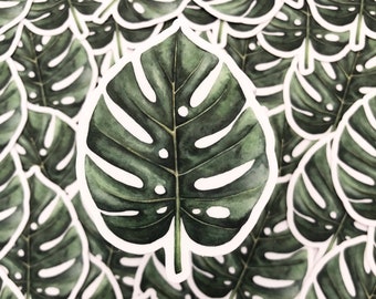 Monstera leaf sticker, green leaf sticker , laptop sticker, water bottle sticker, tumbler stickers, monstera plant sticker, monstera decals
