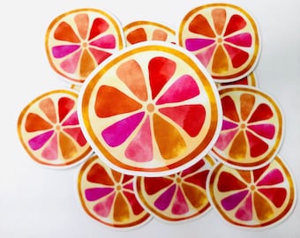 Grapefruit sticker, watercolor sticker, waterproof sticker, cute stickers, laptop stickers, tumbler stickers