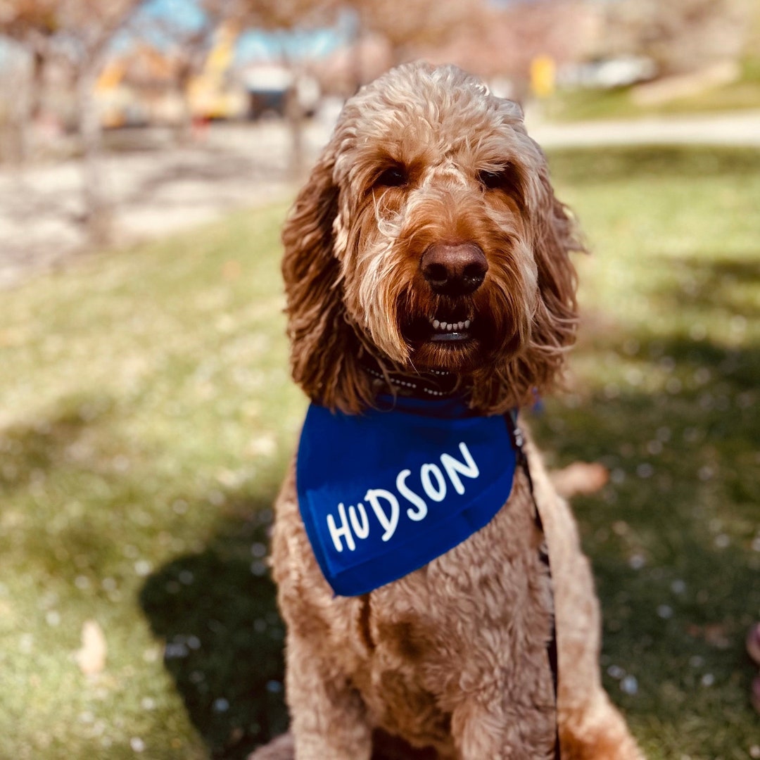 Custom Dog Bandana With Name, Dog Name Collar, Tie on Dog Bandanas