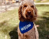 Custom Dog Bandana with Name, Dog Name Collar, Tie On Dog Bandanas, Personalized Gifts for Dogs, Personalized Dog Bandana, Dog Bandanas