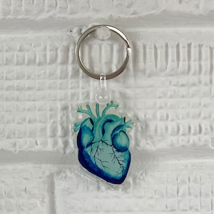 Blue / Teal / Keychain / Anatomical / Heart / Cardiac / Small / Lightweight / Anatomical Heart / Fun Keychain / Nursing / Coronary