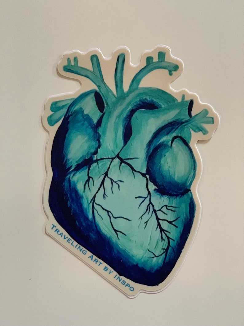 Anatomical Heart / Teal Sticker / Nursing / Cath Lab / Blue / Etsy.de
