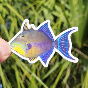 May include: A blue and yellow fish sticker with a white outline. The fish has a blue and purple fin and a yellow stripe around its eye.