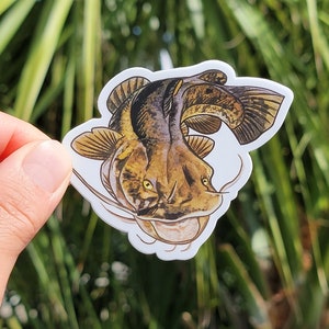 May include: A sticker featuring a detailed illustration of a catfish with brown, yellow, and white markings. The catfish has a wide mouth and large, yellow eyes.