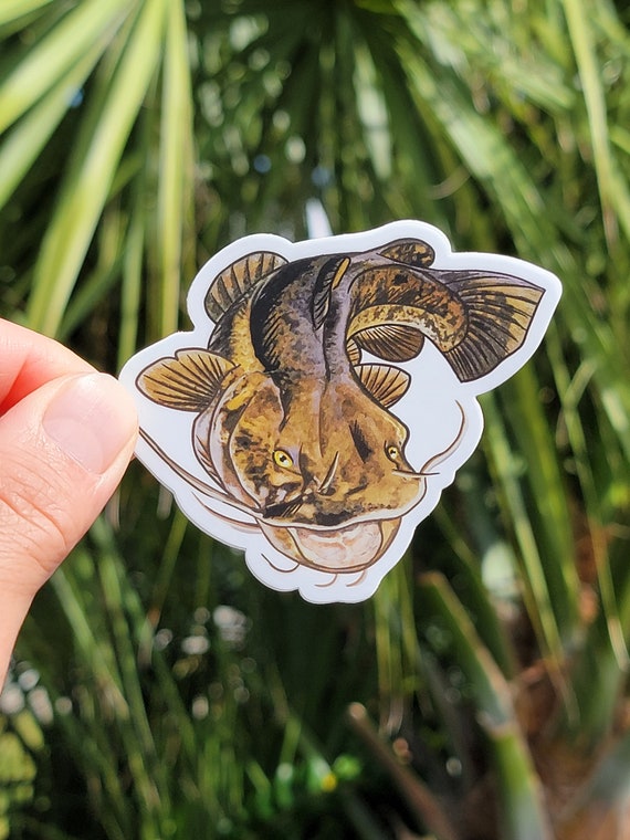 Catfish Sticker | Flathead Catfish | Catfish | Flathead | Fish Decal | Fishing Sticker | Yeti Decal | Tumbler Decal