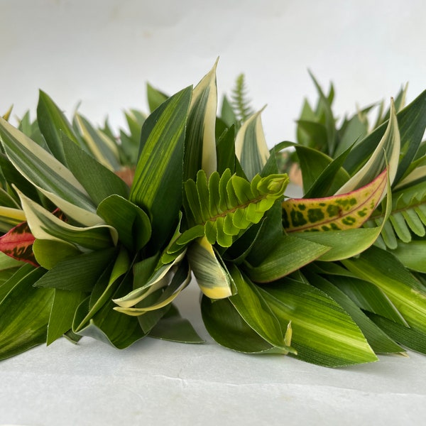 Fresh Simply Green Song of Jamaica crown lei po'o - Pick up on O'ahu (HI) only - Delivery/shipping not available