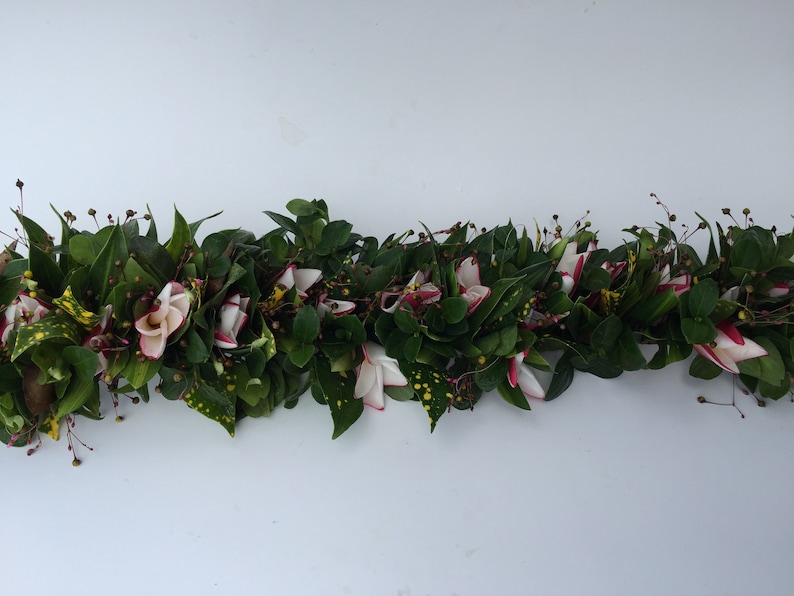 Pick up only Fresh Plumeria Ginseng crown haku lei po/'o Delivery and shipping unavailable