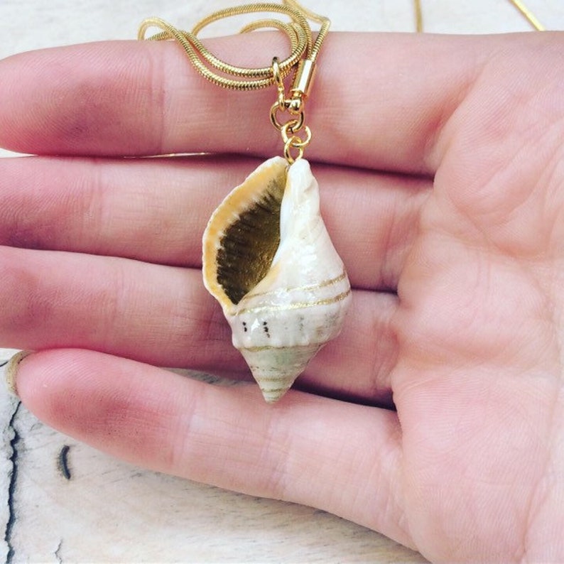 Gold Chain Painted Sea Snail Spiral Shell Necklace | Etsy Australia