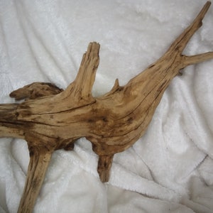 großes Aquarium-Treibholz, echter Espenbaum aus Holz, Aquarium-Zubehör